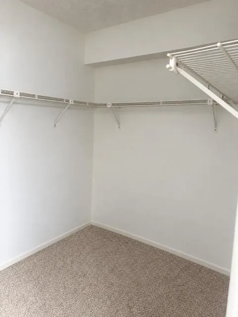 456 N LAUREL Drive #1507