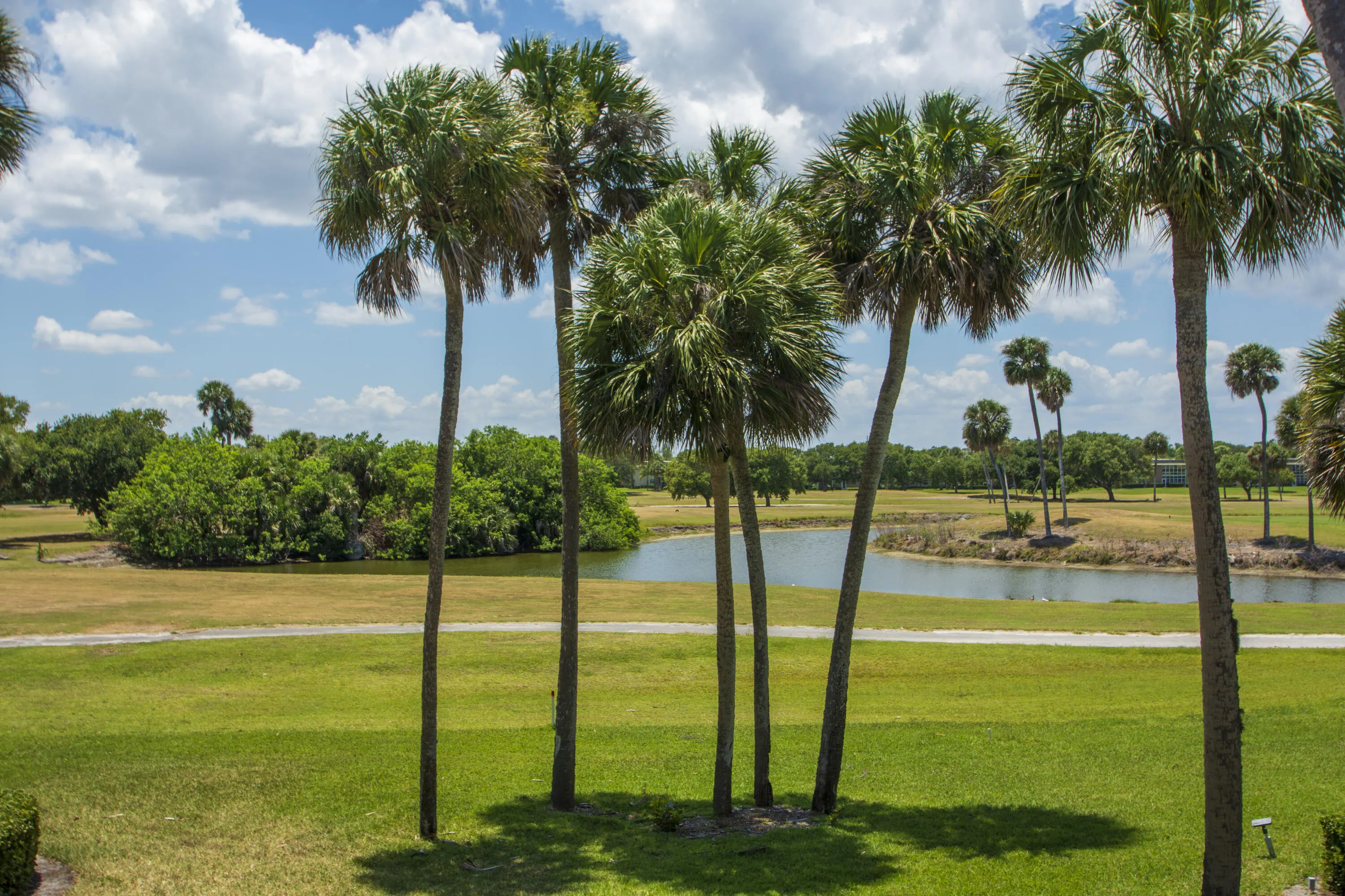36 VISTA GARDENS Trail #202