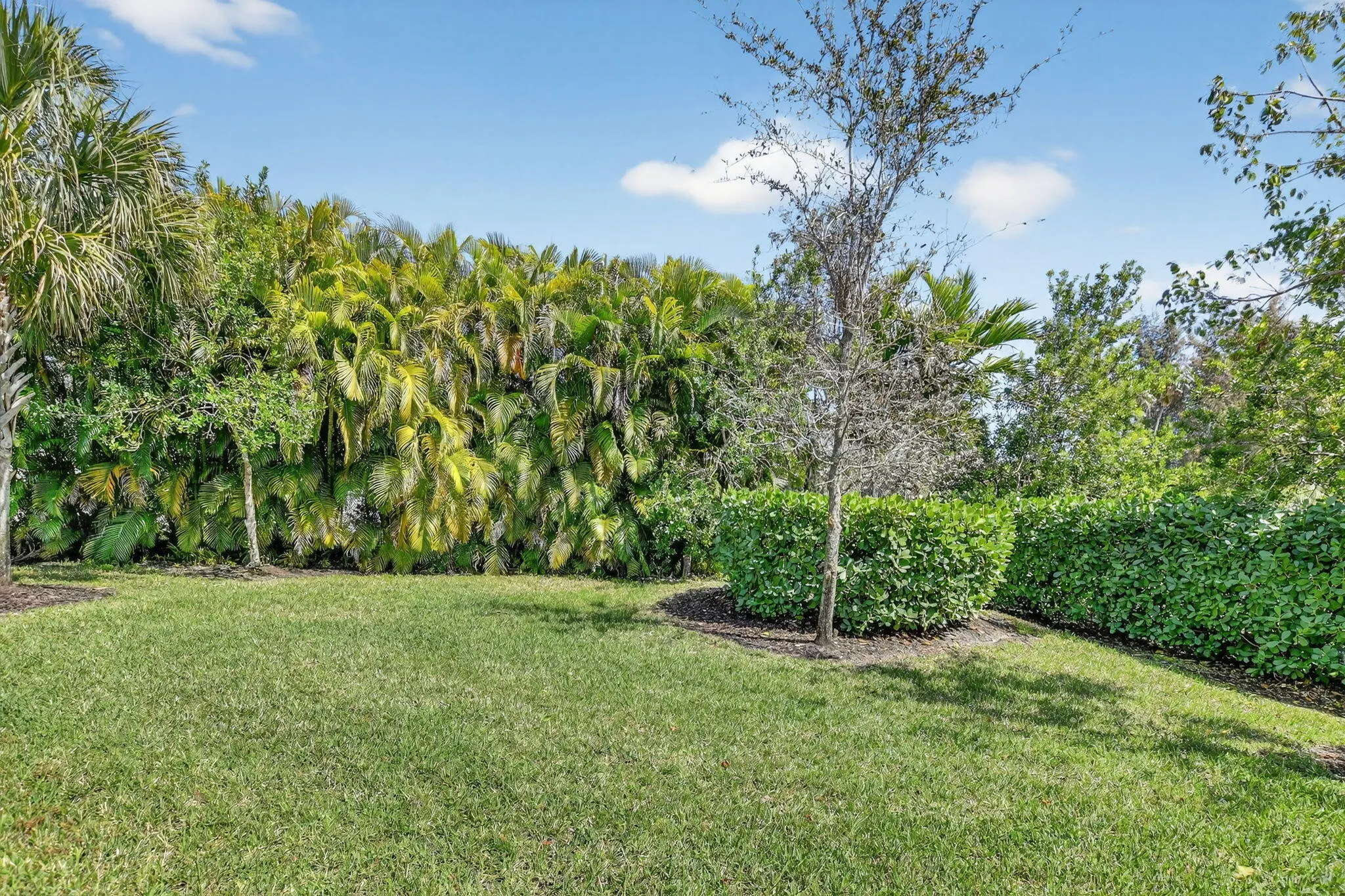 9115 Passiflora Way