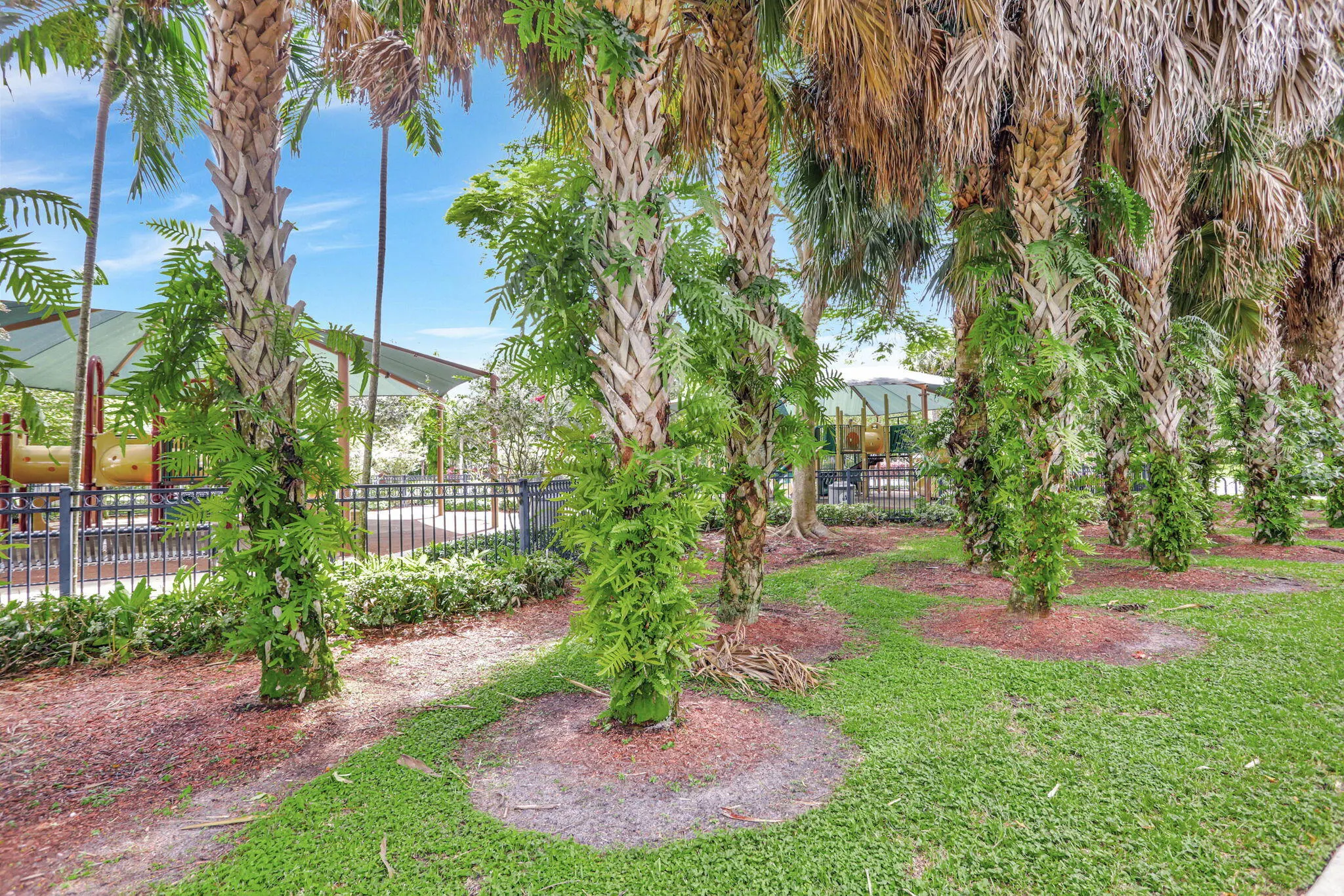 3107 N Palm Aire Drive