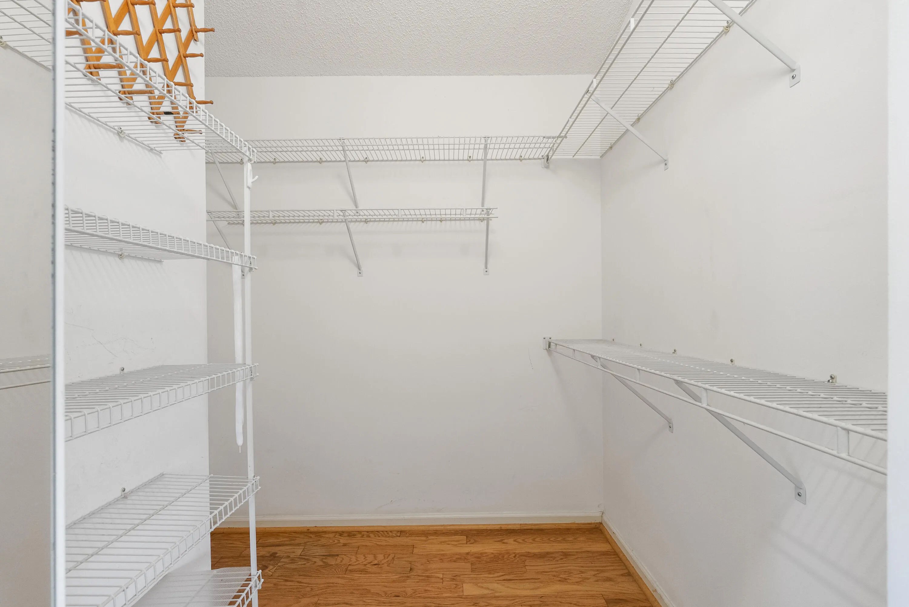 5229 BODEGA Place