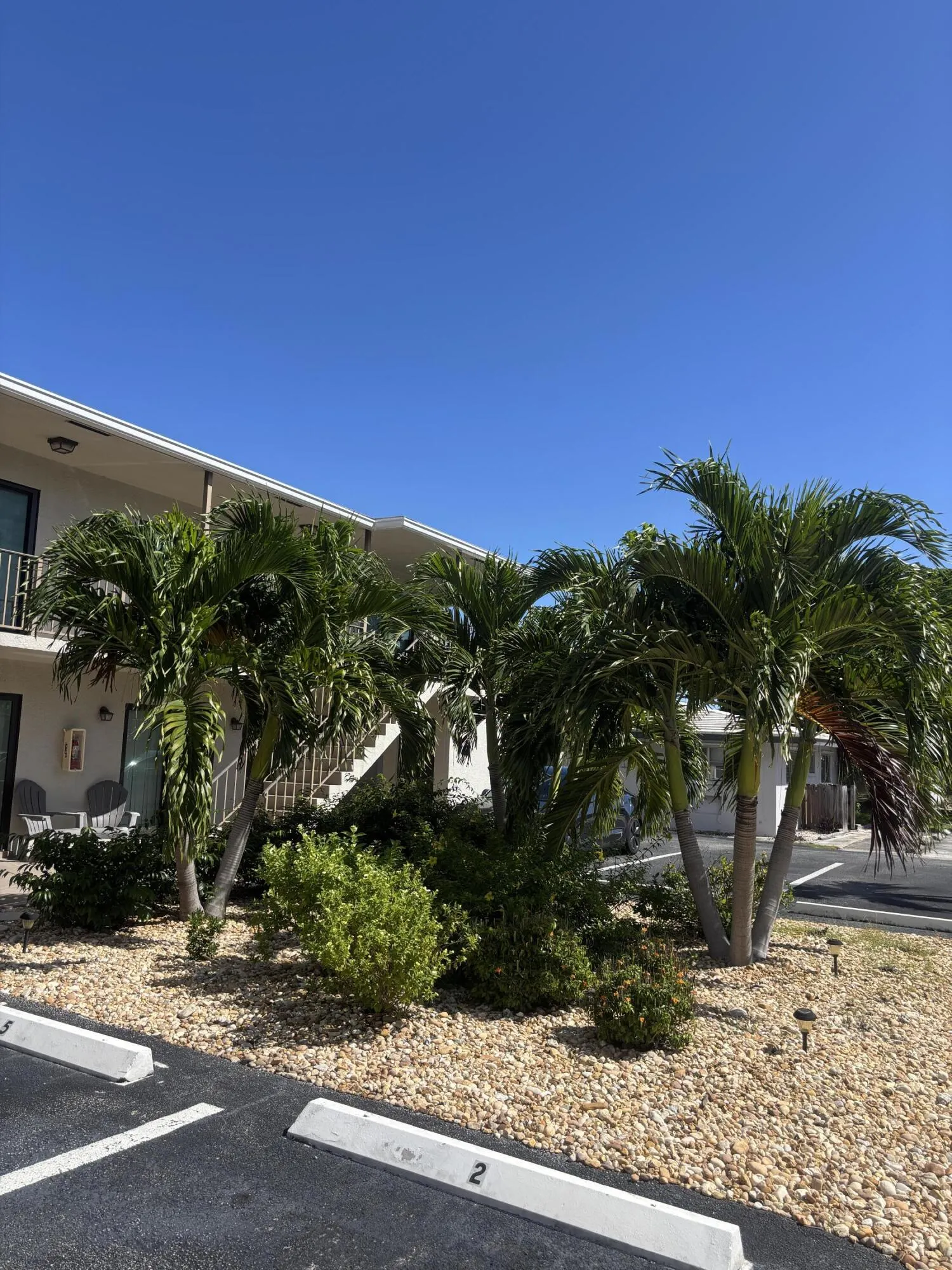 521 NE 45TH Street #6