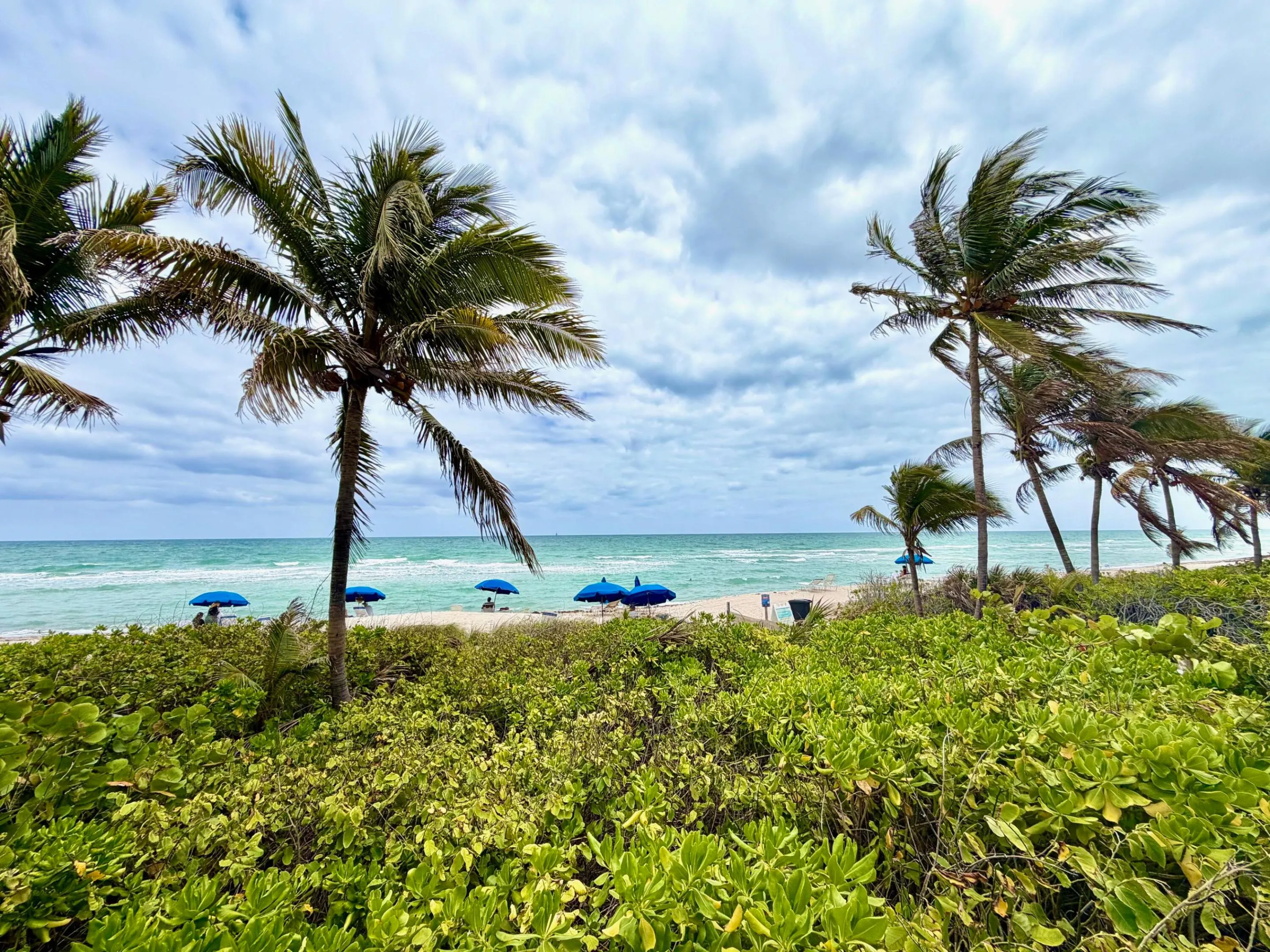 1985 S Ocean Drive #21A
