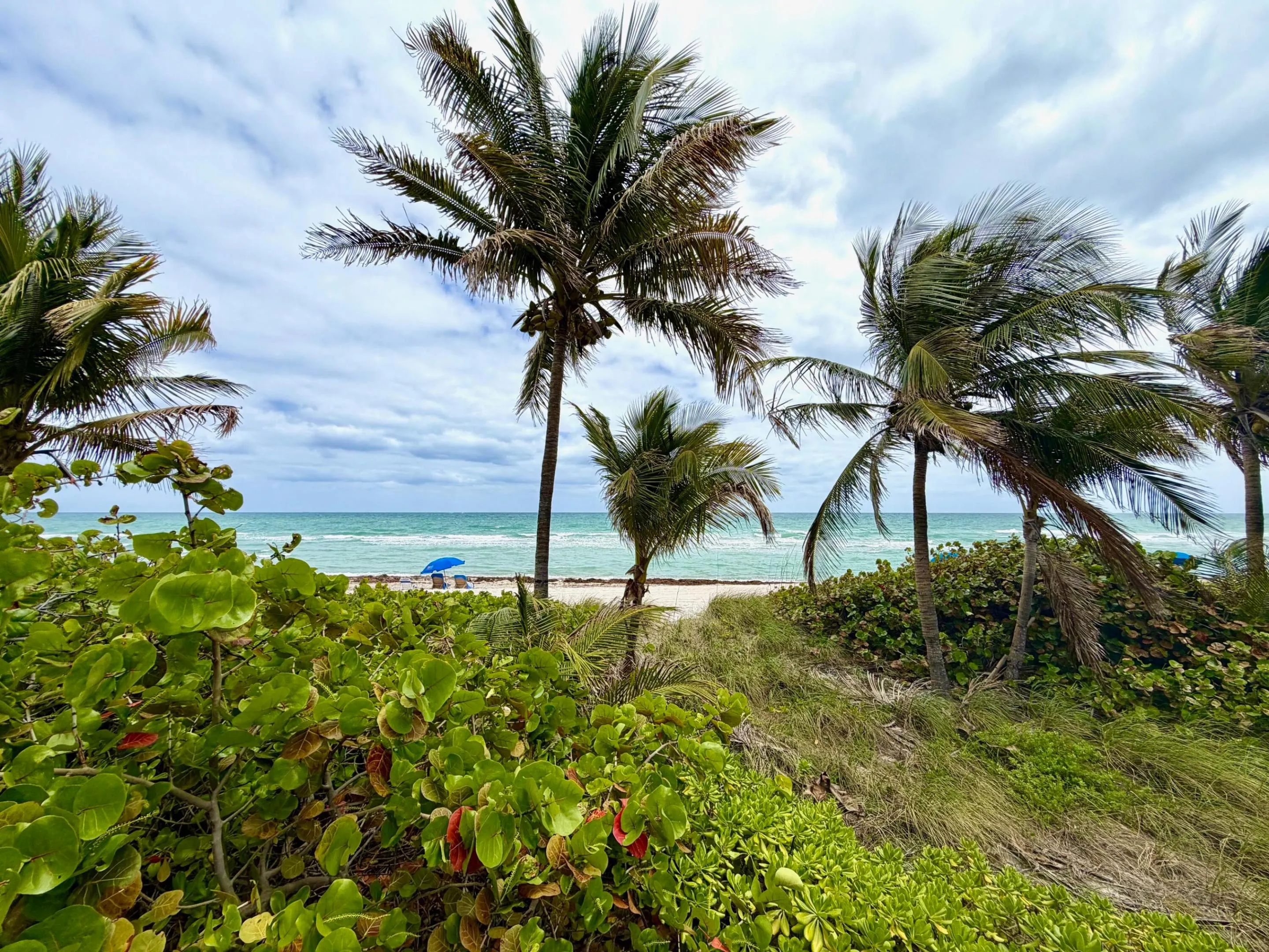 1985 S Ocean Drive #21A