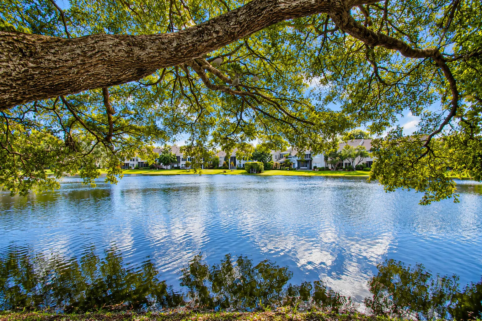 6708 SWEET MAPLE Lane