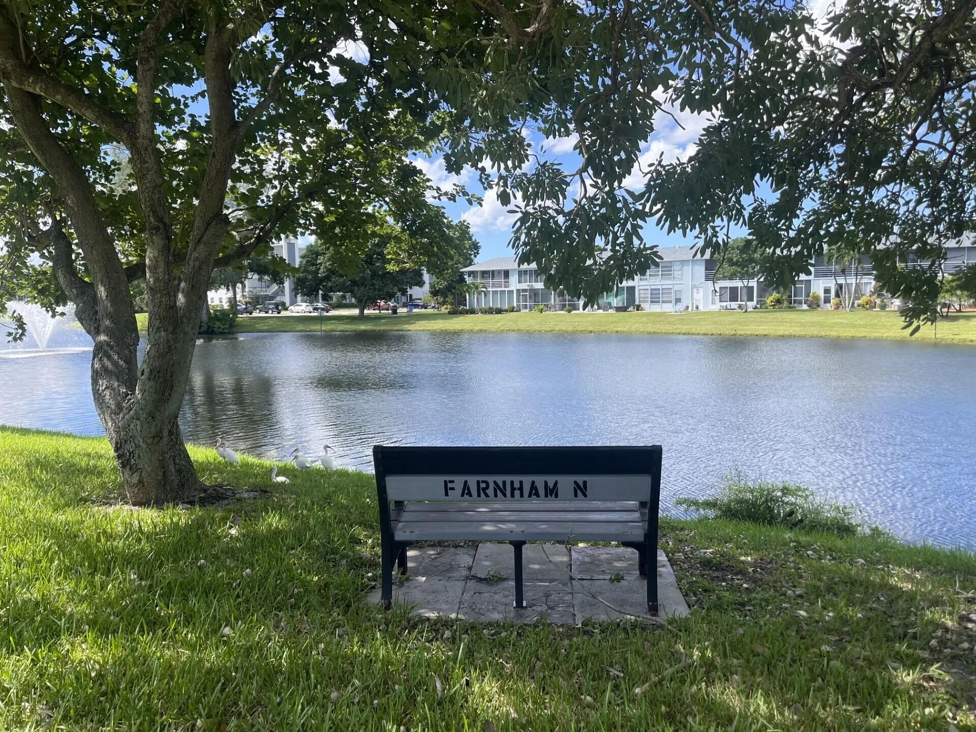 4006 FARNHAM N #4006