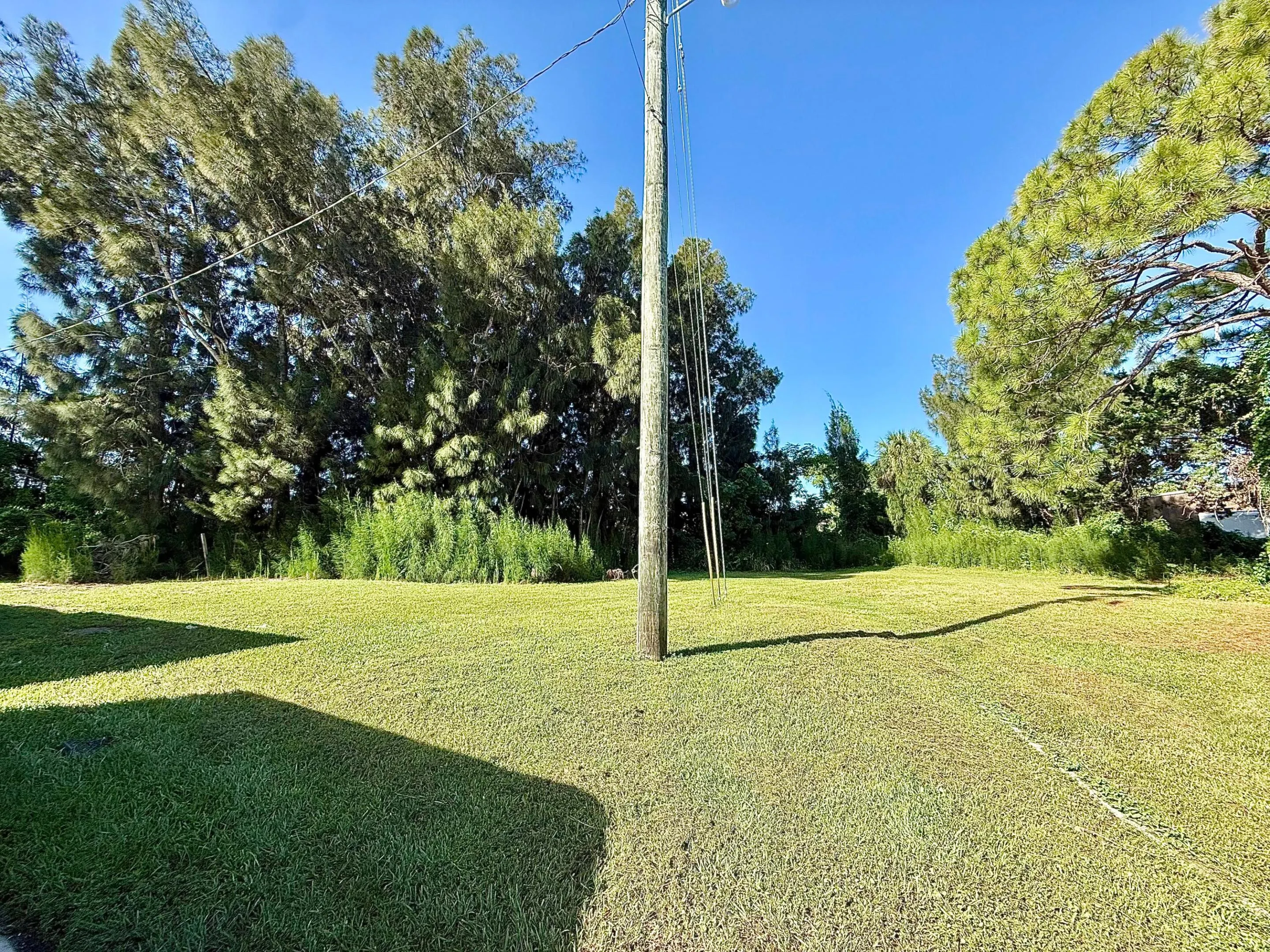 500 Wisteria Drive