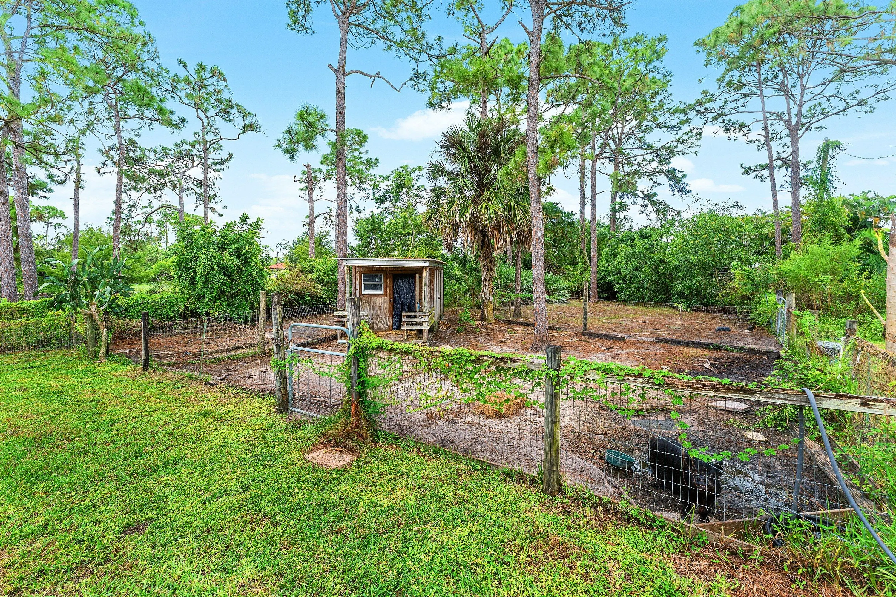 12946 66th Street N