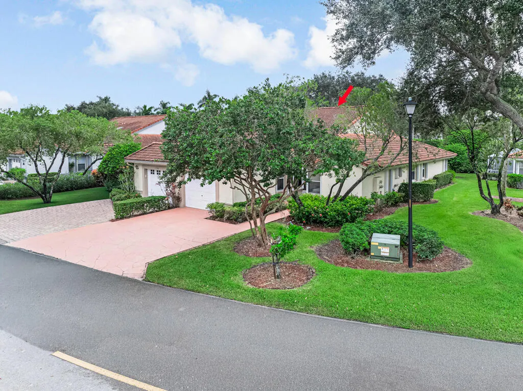 7288 Summer Tree Drive