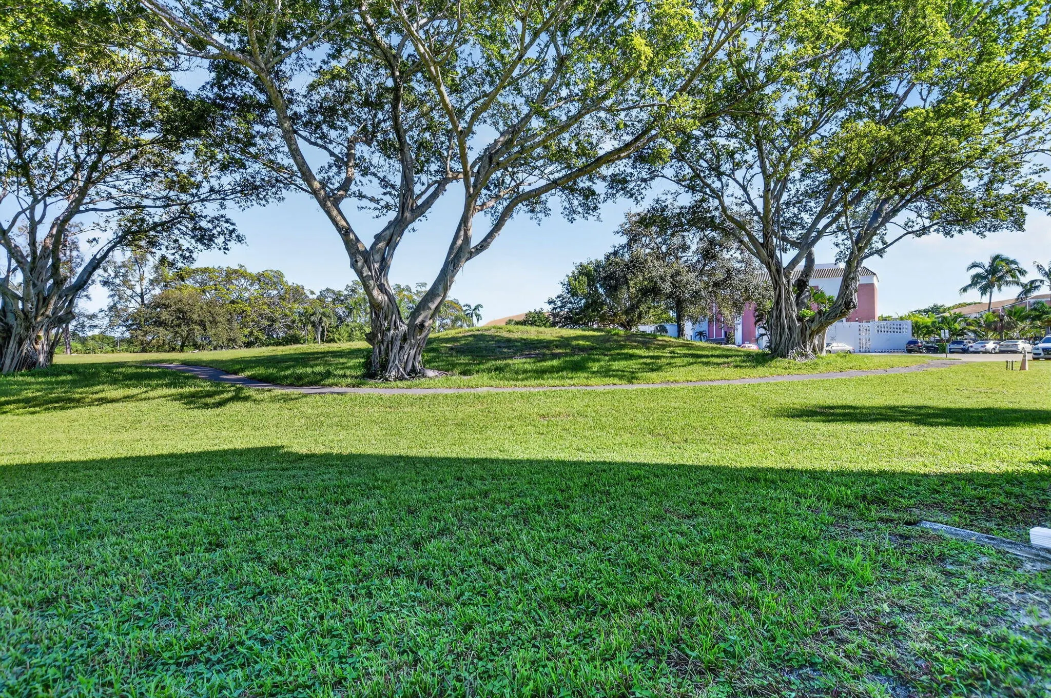 1055 Lyndhurst K
