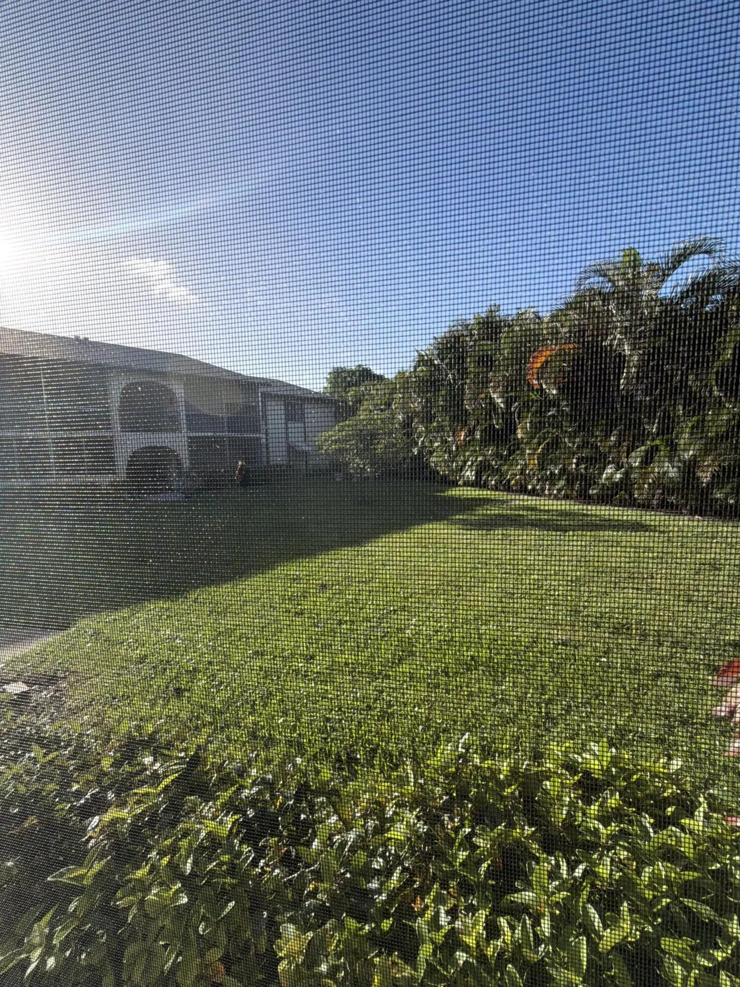 5773 LA PINATA Boulevard #C-1
