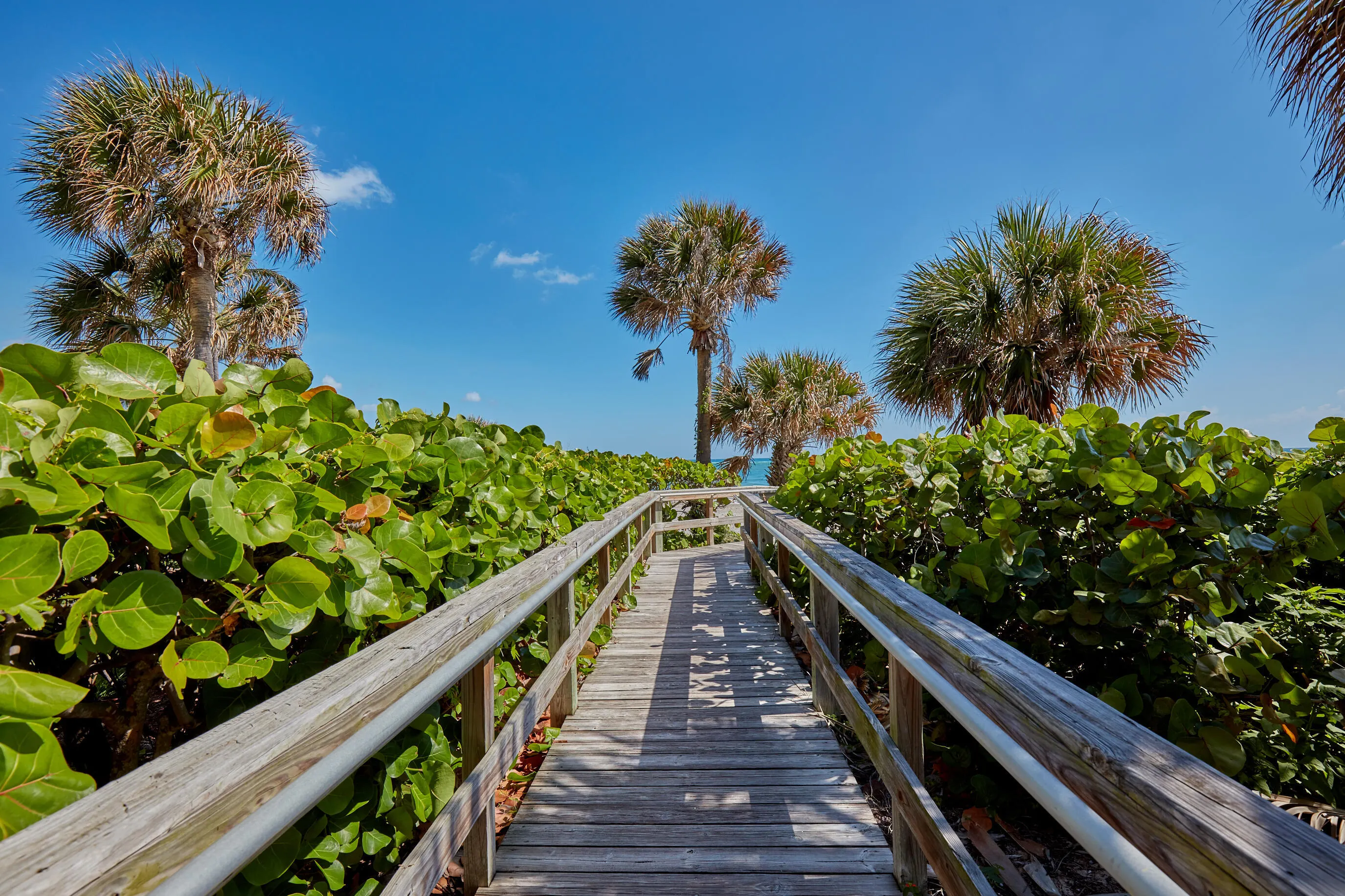 200 Ocean Trail Way #1209