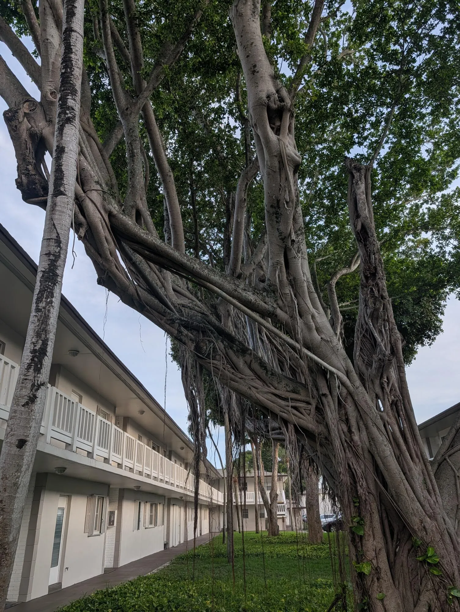 430 SE 2ND Avenue #24