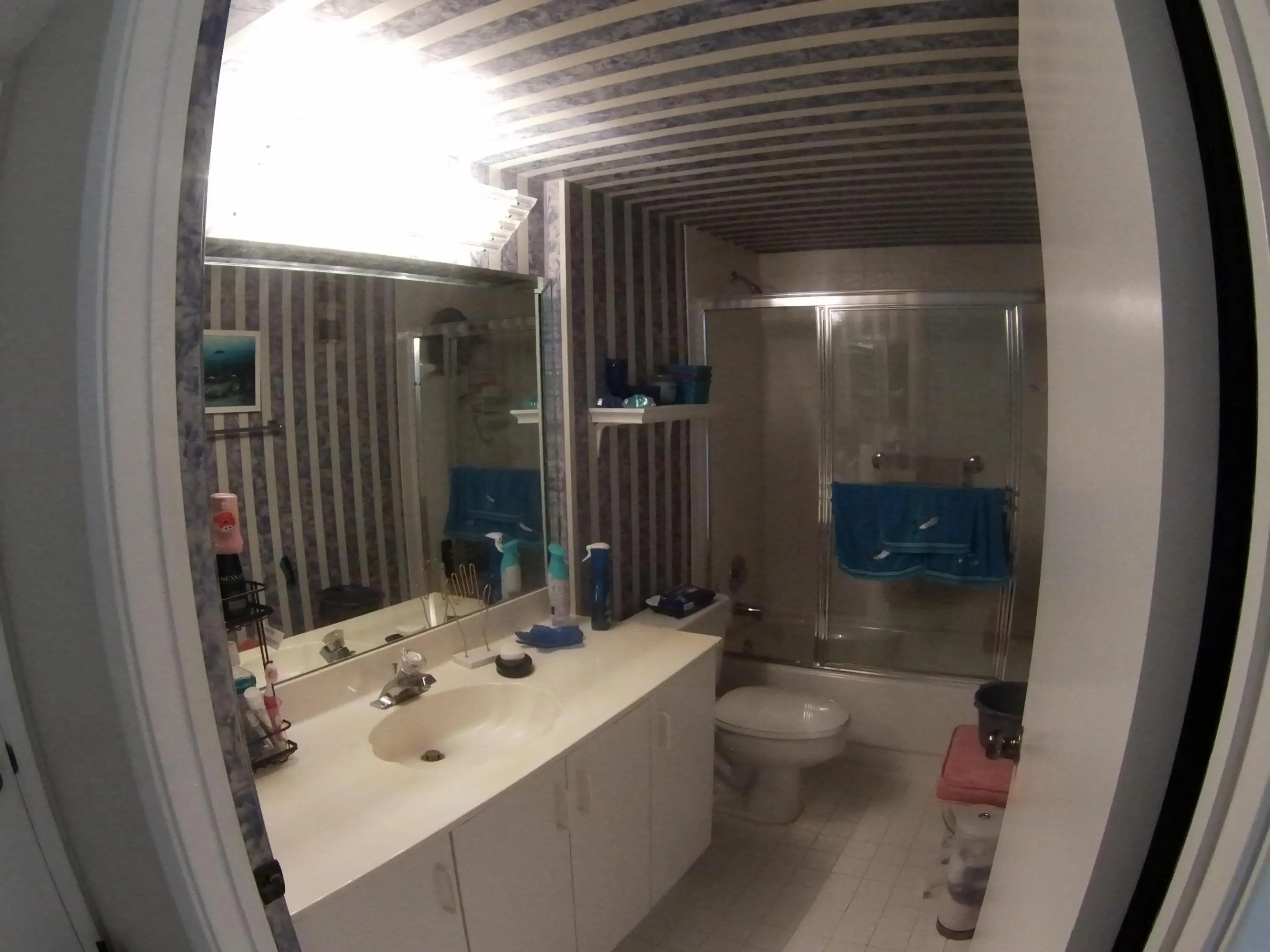 14111 ROYAL VISTA Drive #102