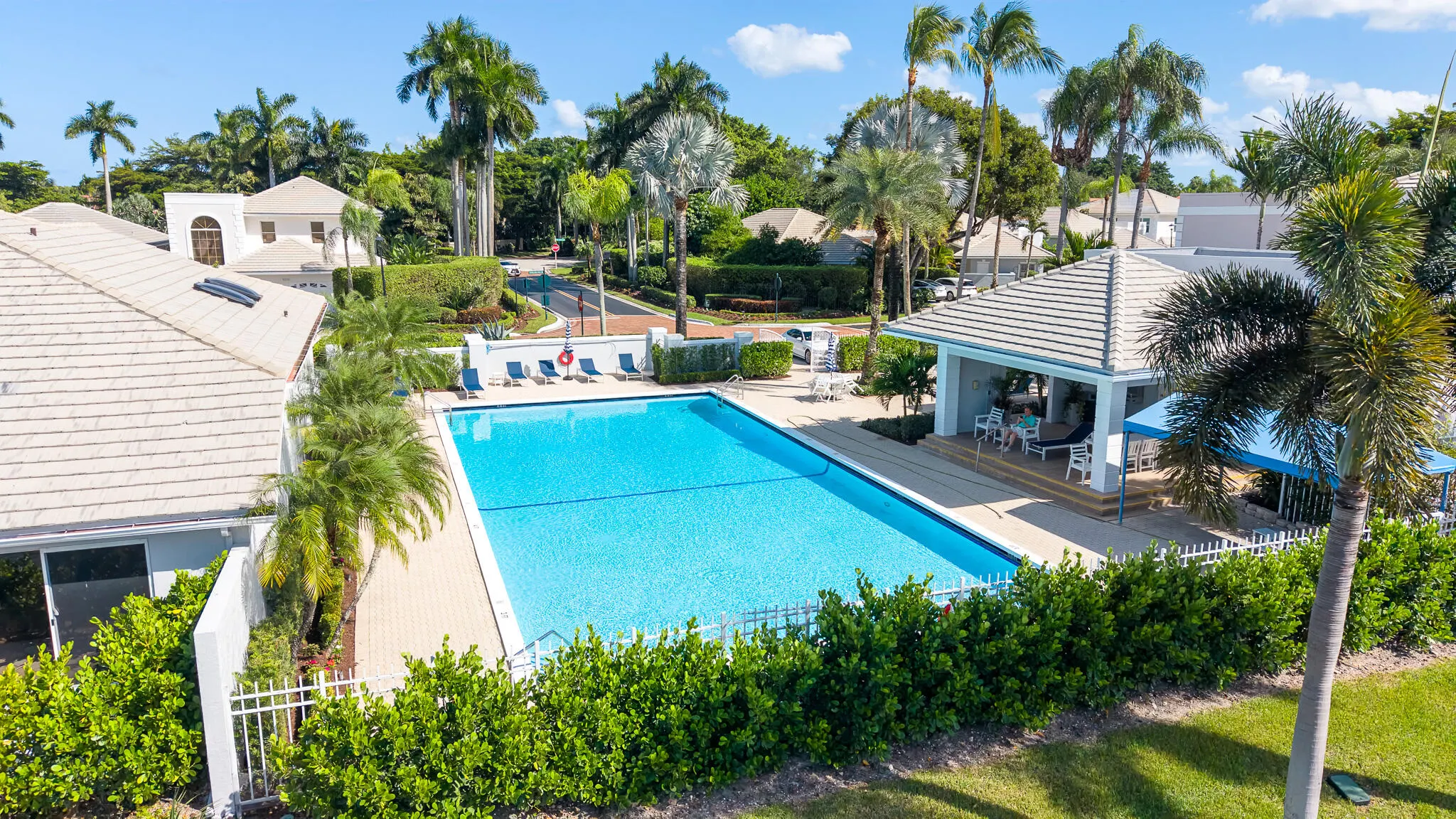 23381 BUTTERFLY PALM Court