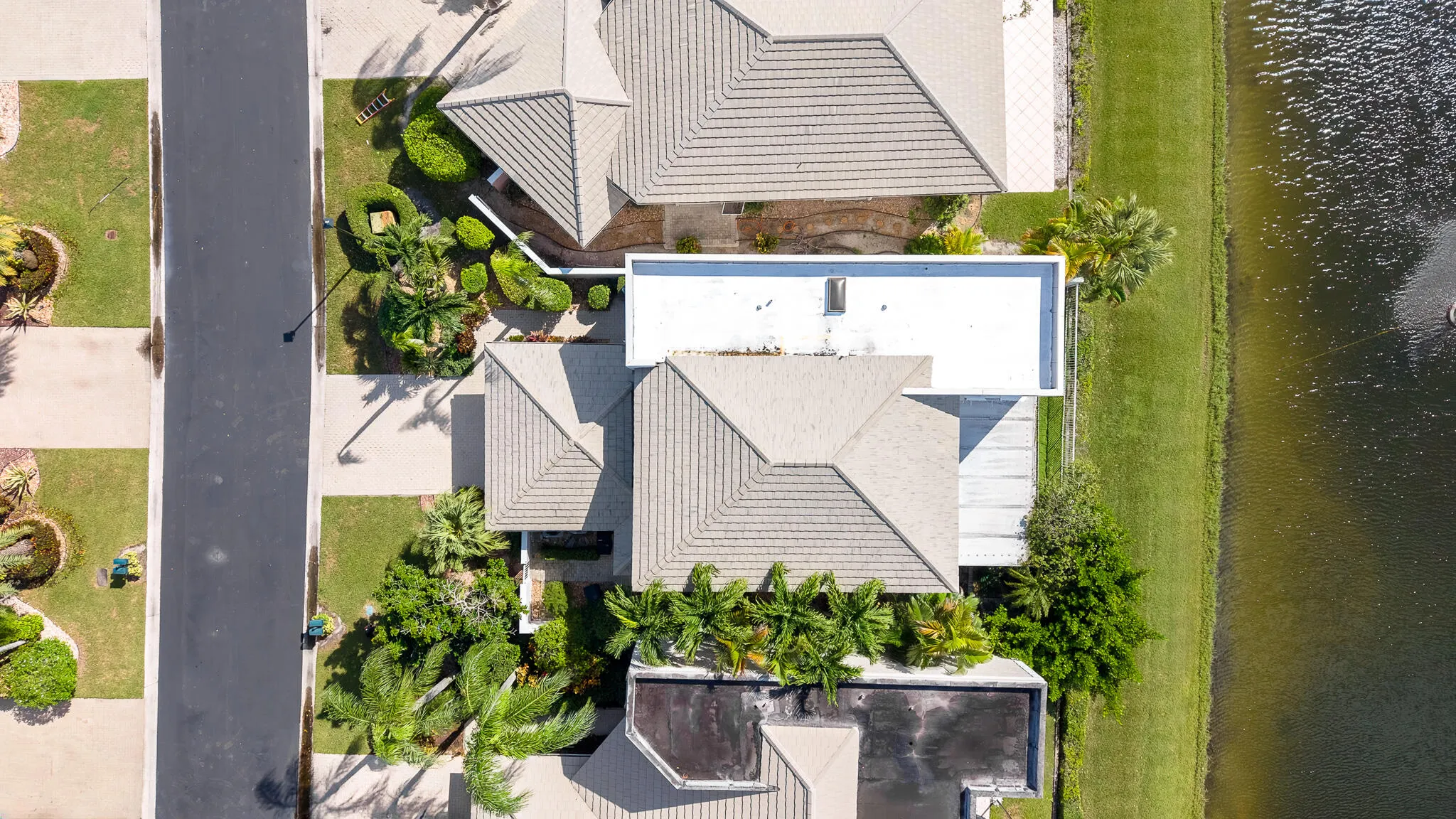 23381 BUTTERFLY PALM Court