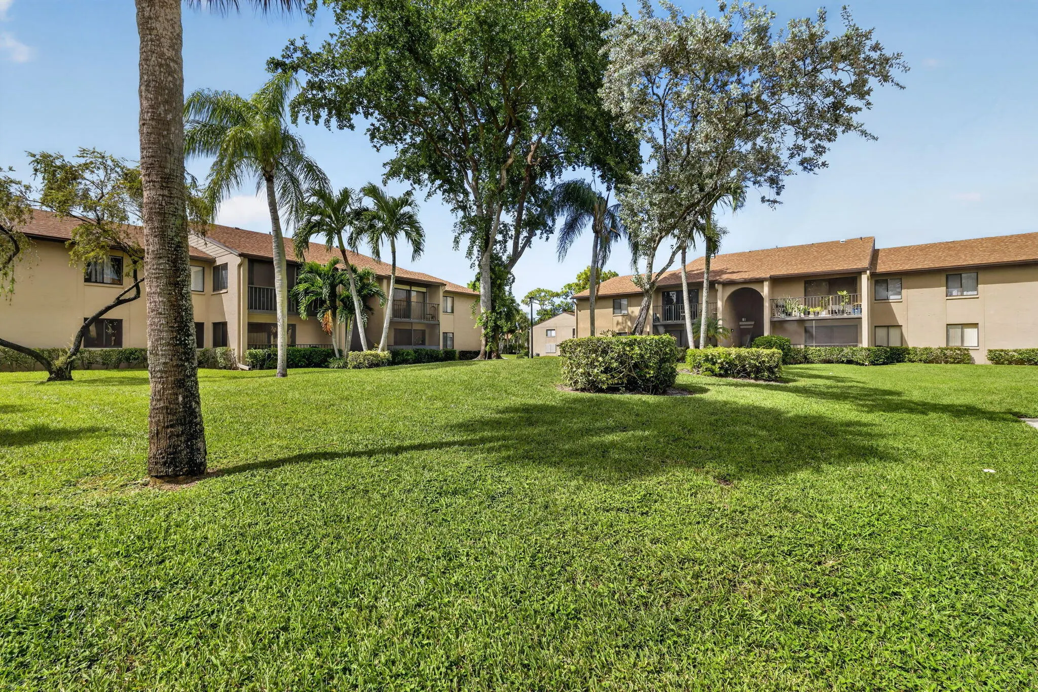 528 SHADY PINE Way #B1