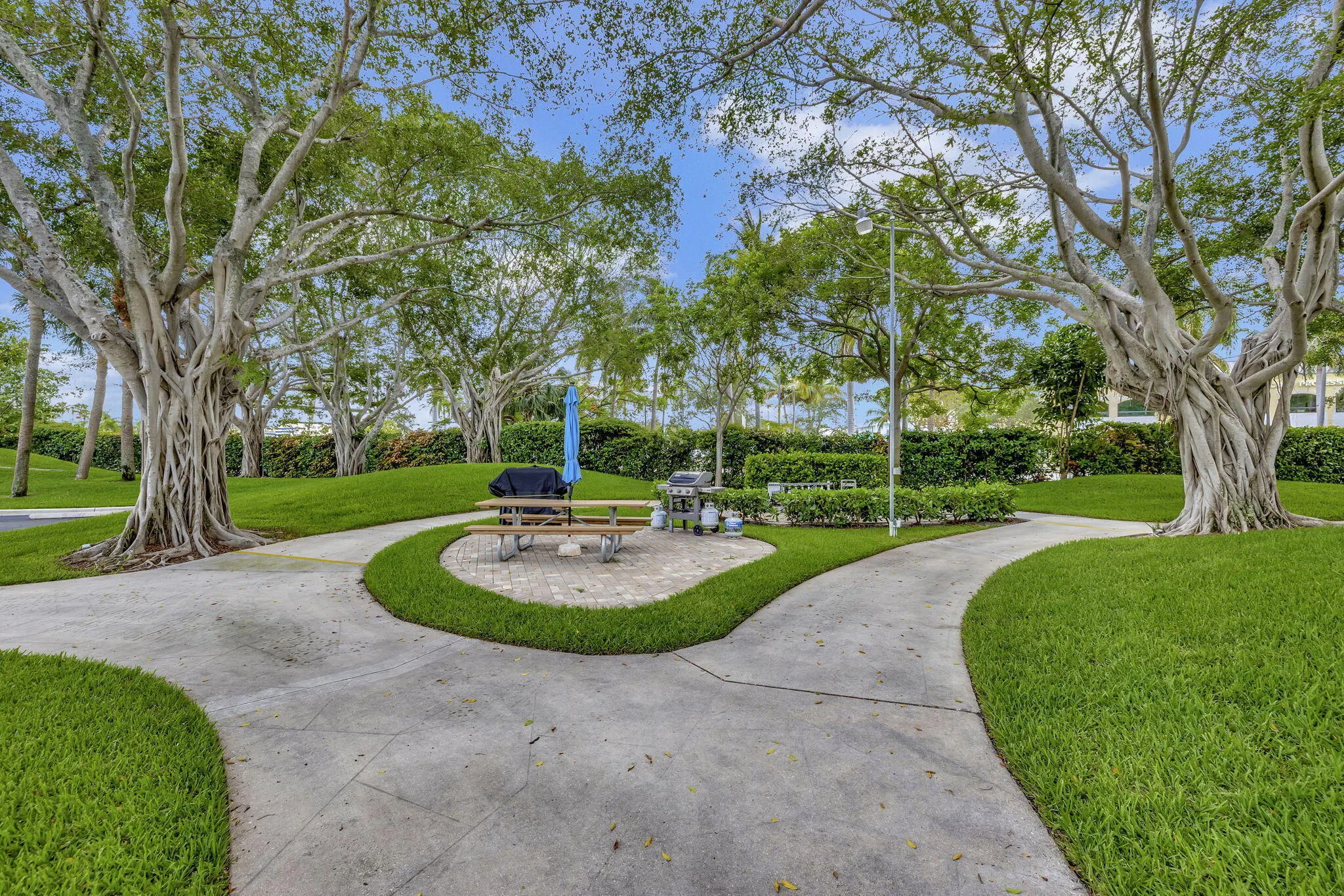 1537 E HILLSBORO Boulevard #444