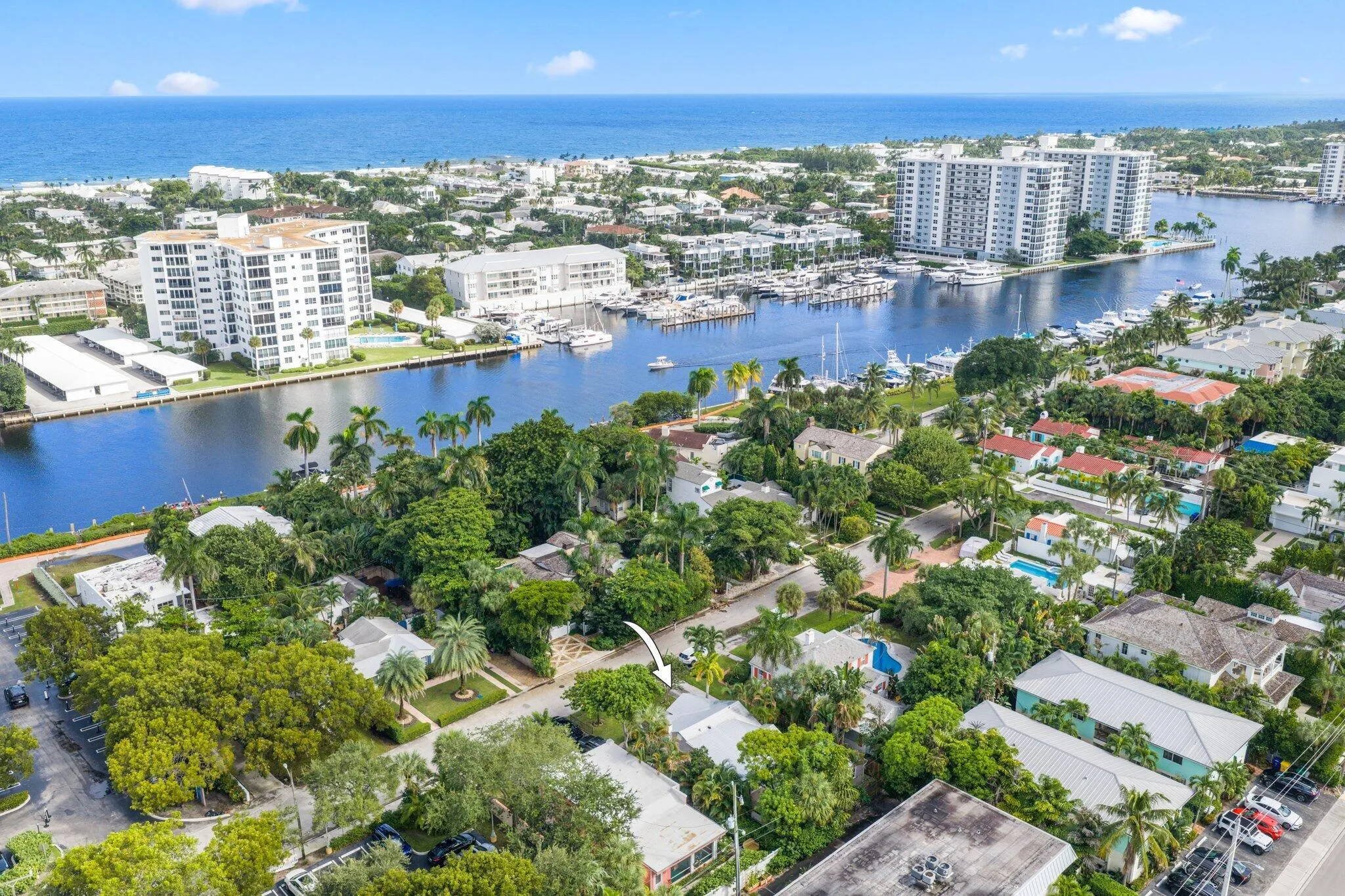 42 Palm Square