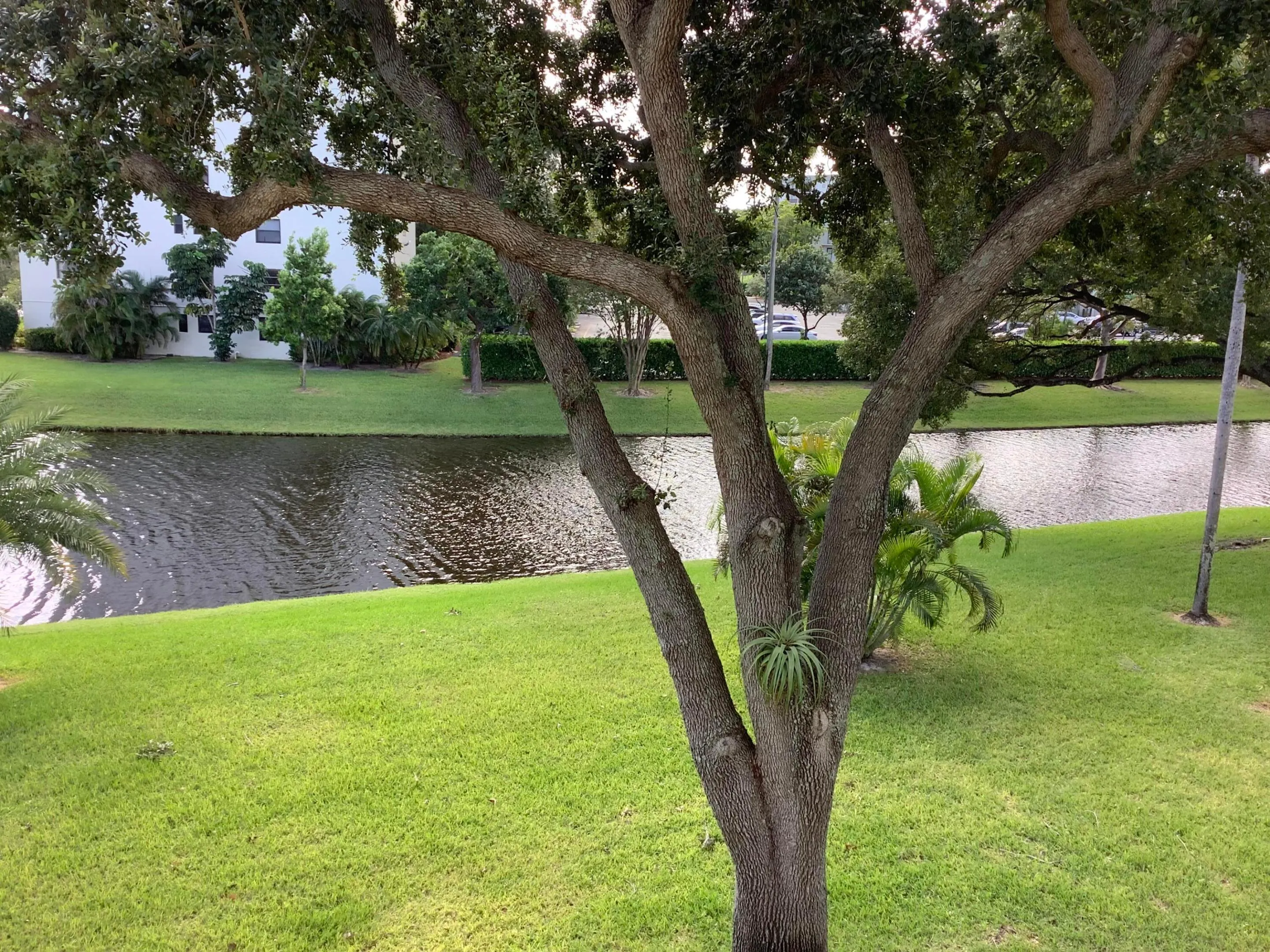 2228 N CYPRESS BEND Drive #307