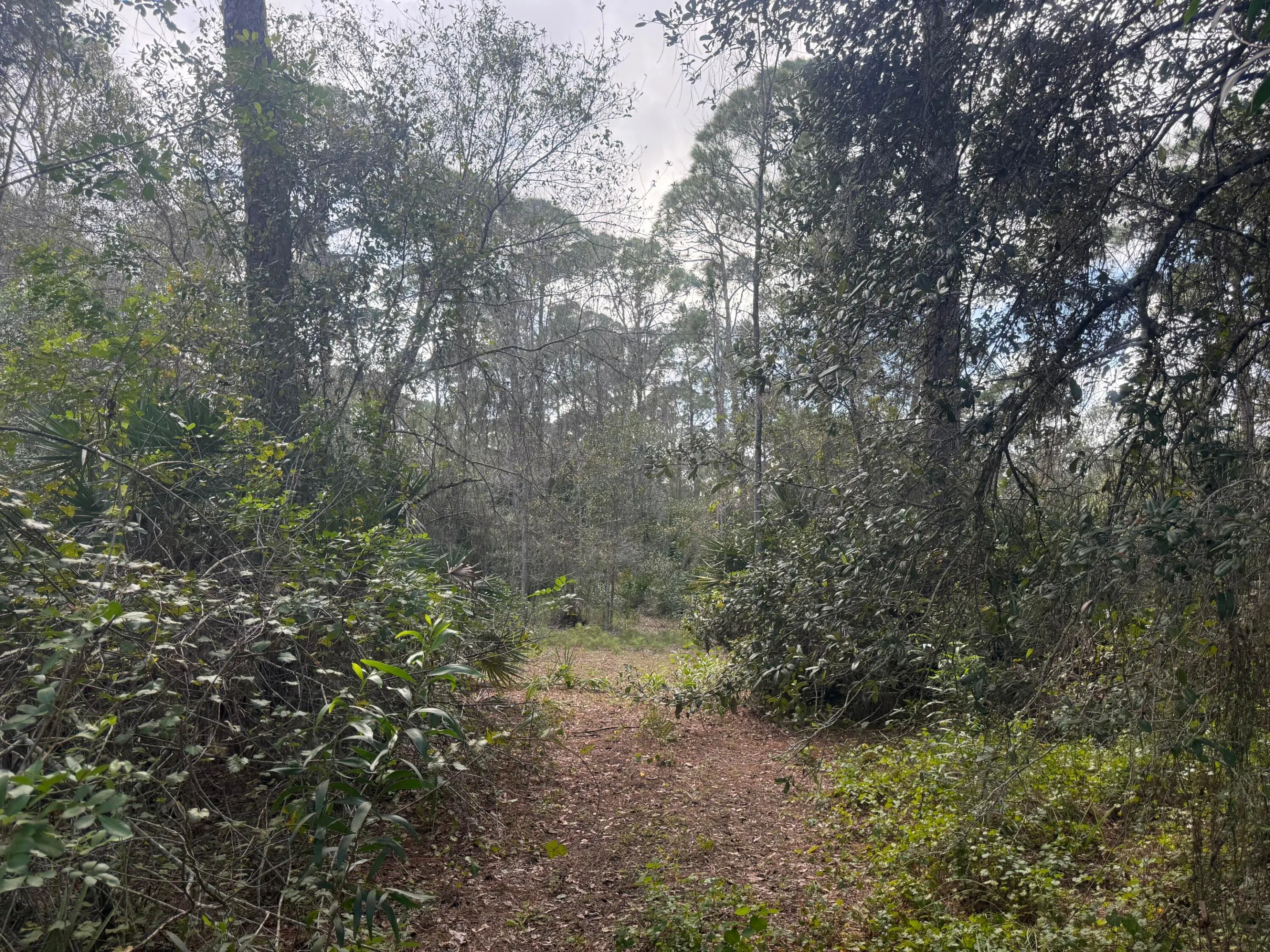 0 SW DEER RUN