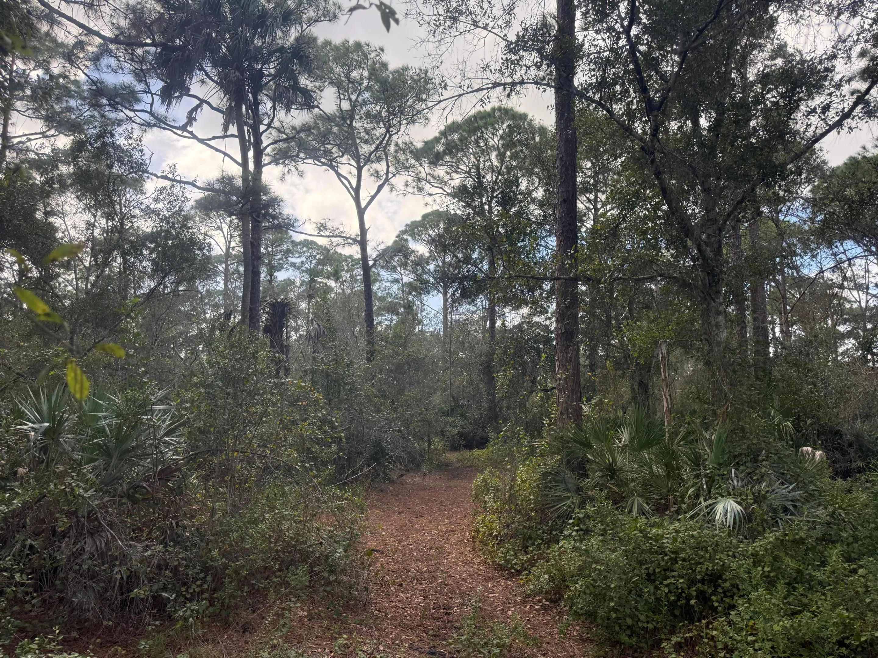 0 SW DEER RUN
