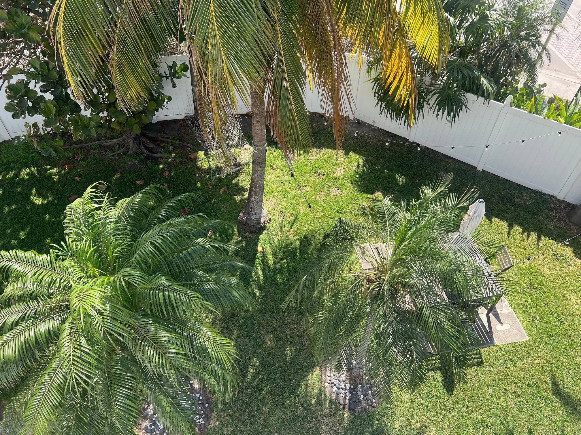 355 Virginia Street #1