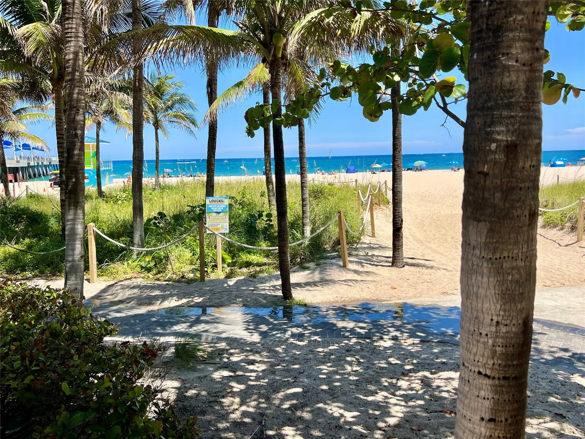 133 N Pompano Beach Boulevard #1506