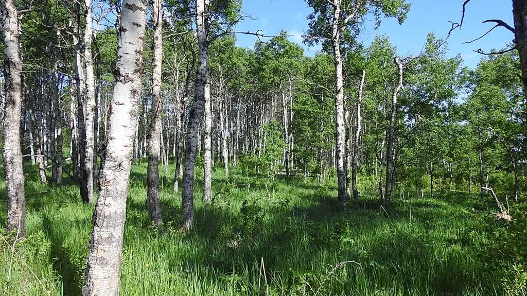 79.41 Acres SE-13-22-3W5