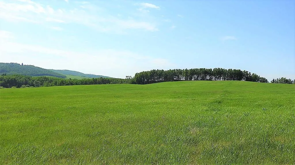 79.41 Acres SE-13-22-3W5