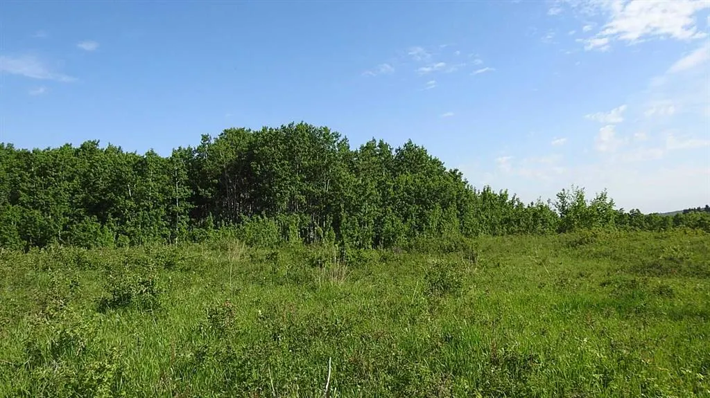 79.41 Acres SE-13-22-3W5