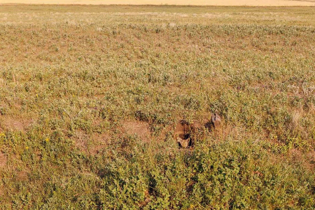 Parcel 8 Range Road 271 just south of Highway 9.