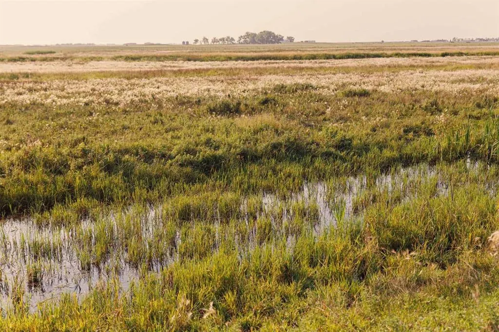 Parcel 8 Range Road 271 just south of Highway 9.
