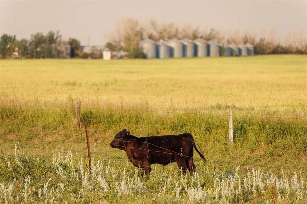 Parcel 8 Range Road 271 just south of Highway 9.
