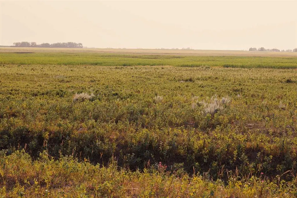 Parcel 8 Range Road 271 just south of Highway 9.