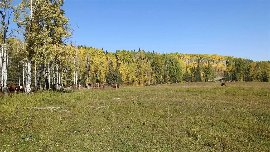 108 Acres bordering Kananaskis