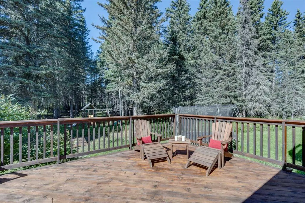 118 Mountain Lion Drive