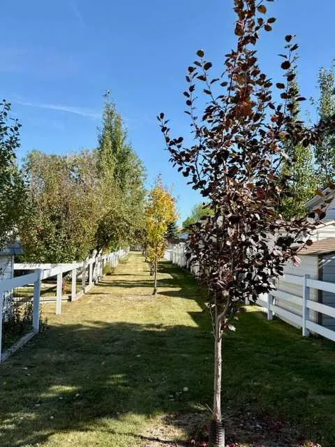 35468 Range Road 30, #2133