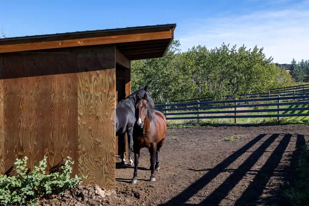 30124 Bunny Hollow Drive