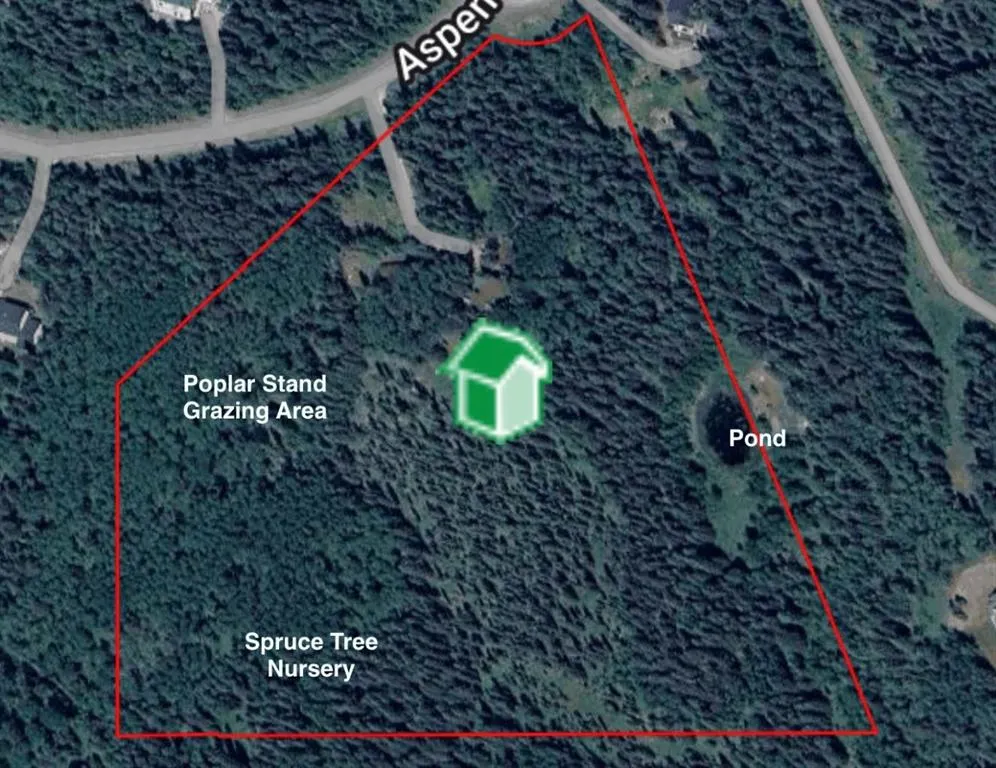 37 Aspen Creek Drive