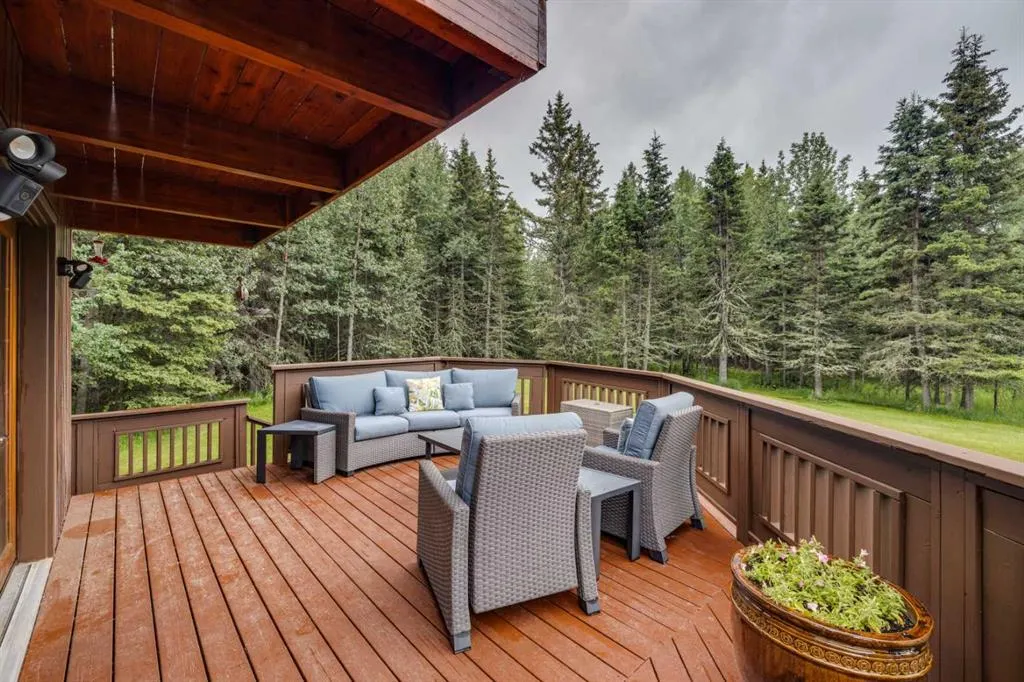 106 Mountain Lion Drive