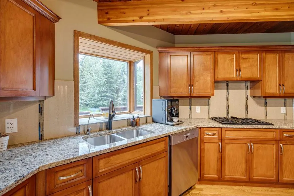 106 Mountain Lion Drive