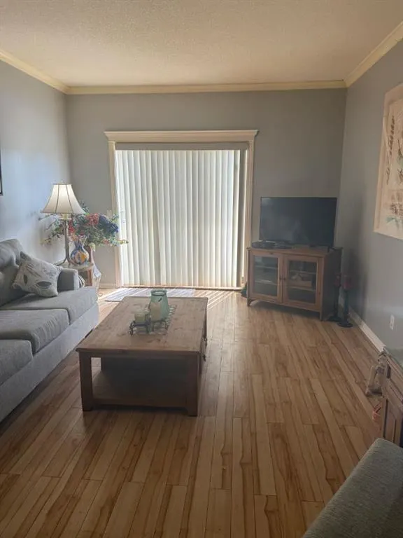 7 Lineham Avenue, #205