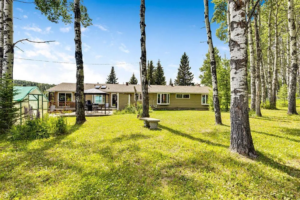 98 Saddle Road