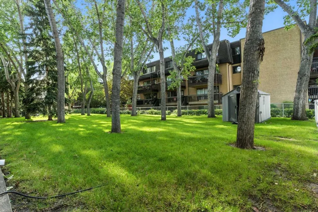 3420 50 Street NW, #411