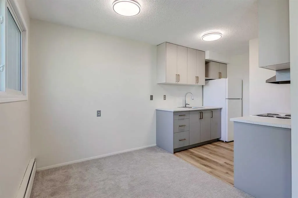 3615B 49 Street NW, #203