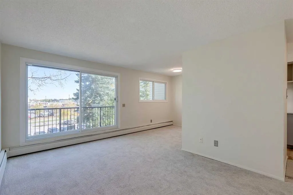 3615B 49 Street NW, #203