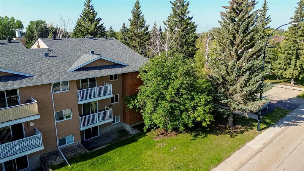 41 Bennett Street, #203