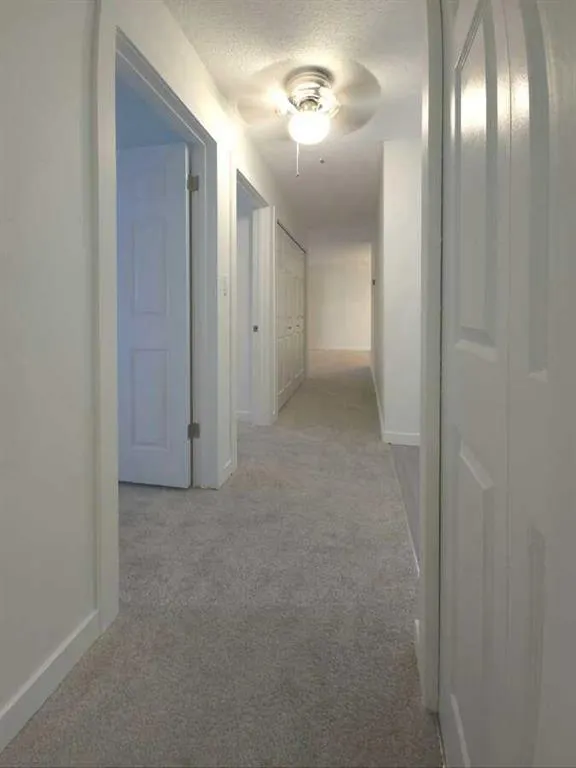 3730 50 Street NW, #206