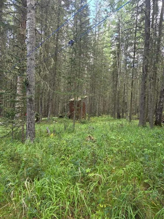 403 29542 Range Rd 52